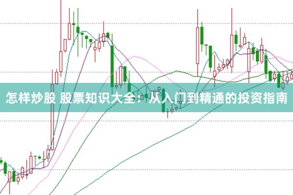 怎样炒股 股票知识大全:从入门到精通的投资指南