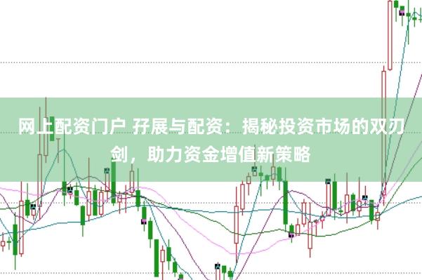 网上配资门户 孖展与配资:揭秘投资市场的双刃剑,助力资金增值新策略