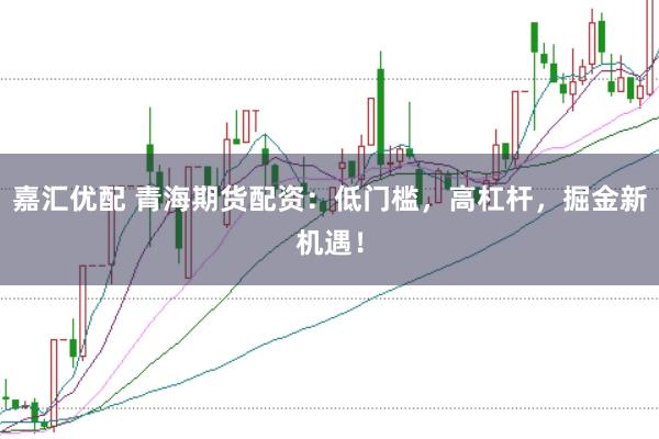 嘉汇优配 青海期货配资:低门槛,高杠杆,掘金新机遇!