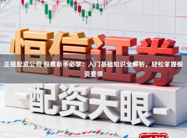 正规配资公司 股票新手必学：入门基础知识全解析，轻松掌握投资要领